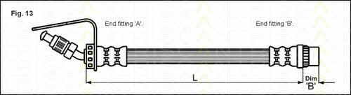 Flexible brake pipe Opel Movano: 815010113 Triscan Brake Hose