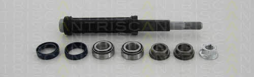 Triscan 8500 38401 Hobs, kit 850038401