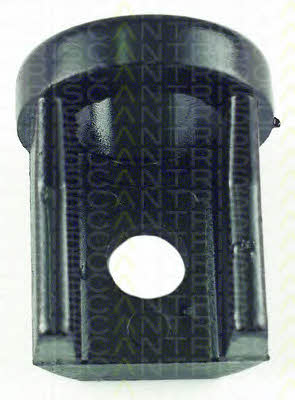 850065819 Triscan Silent block