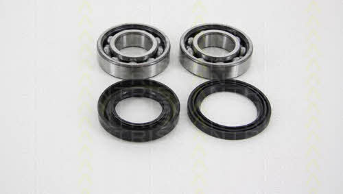 Triscan 8530 68205 Wheel bearing kit 853068205