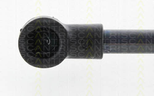 Gas Spring, boot-&#x2F;cargo area Triscan 8710 25266