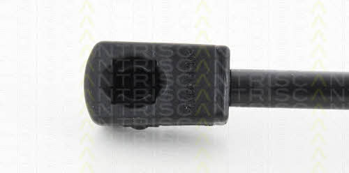 Gas Spring, boot-&#x2F;cargo area Triscan 8710 43238