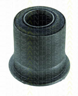 Triscan 8500 13824 Control Arm-/Trailing Arm Bush 850013824