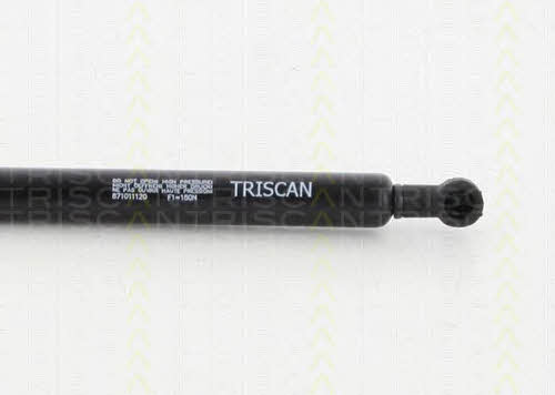 Gas hood spring Triscan 8710 11120