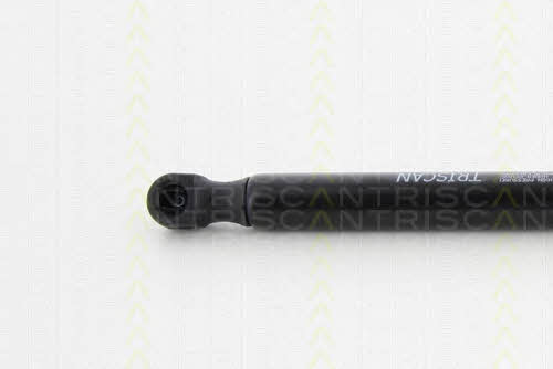 Gas Spring, boot-&#x2F;cargo area Triscan 8710 11293