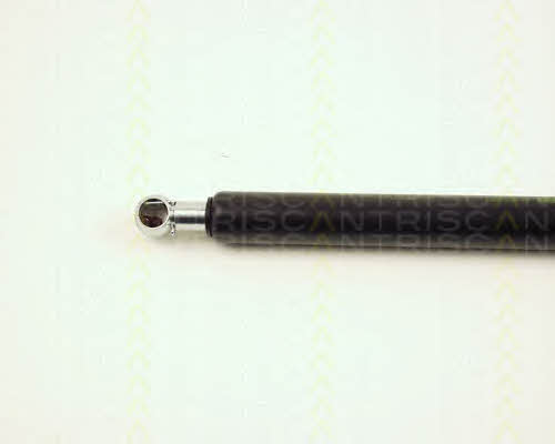 Gas Spring, boot-&#x2F;cargo area Triscan 8710 25214