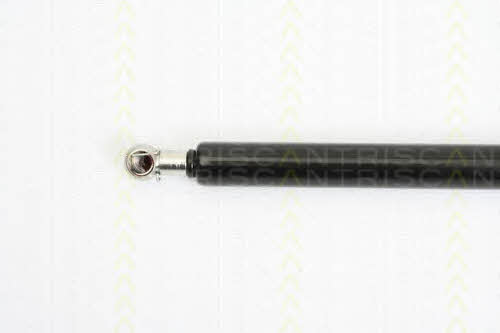 Gas Spring, boot-&#x2F;cargo area Triscan 8710 25229