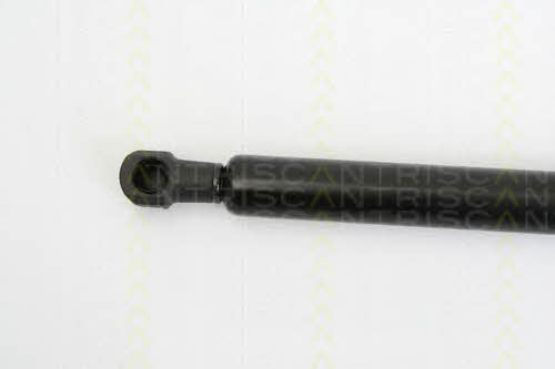 Gas Spring, boot-&#x2F;cargo area Triscan 8710 25234