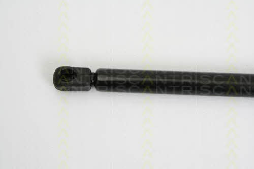 Gas Spring, boot-&#x2F;cargo area Triscan 8710 25237