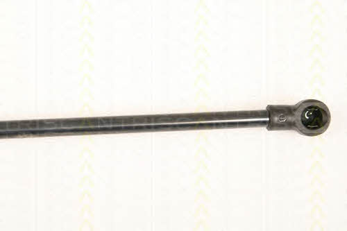 Triscan 8710 25245 Tailgate strut 871025245 871025245 Triscan Tailgate strut