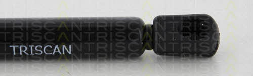 Gas Spring, boot-&#x2F;cargo area Triscan 8710 25263