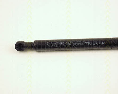 Gas Spring, boot-&#x2F;cargo area Triscan 8710 27212