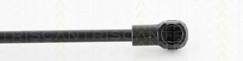 Triscan 8710 27222 Gas Spring, boot-/cargo area 871027222