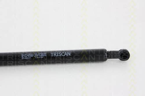 Buy Triscan 8710 28237 at a low price in United Arab Emirates!