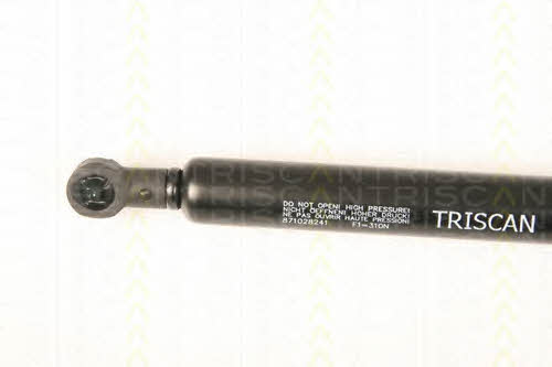 Gas Spring, boot-&#x2F;cargo area Triscan 8710 28241