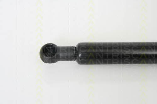 Gas Spring, boot-&#x2F;cargo area Triscan 8710 13266