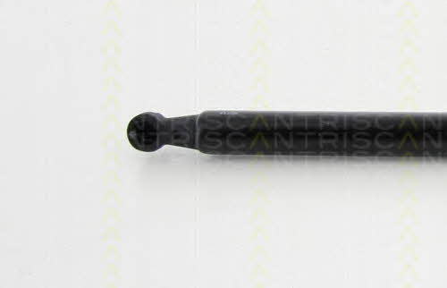 Gas Spring, boot-&#x2F;cargo area Triscan 8710 13285