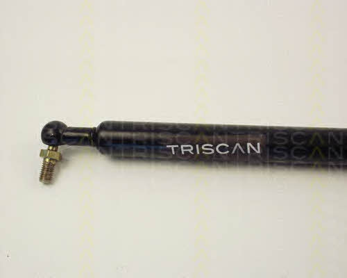 Gas Spring, boot-&#x2F;cargo area Triscan 8710 14207