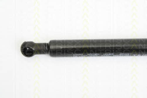 Gas Spring, boot-&#x2F;cargo area Triscan 8710 14244