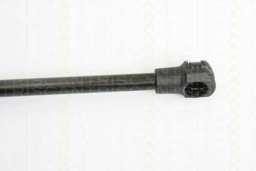 Triscan 8710 14245 Gas Spring, boot-/cargo area 871014245