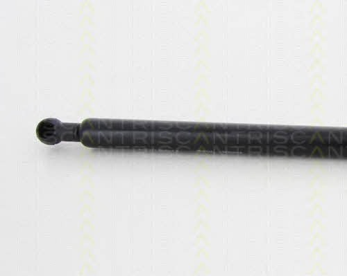 Gas Spring, boot-&#x2F;cargo area Triscan 8710 15245