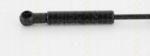 Gas Spring, boot-&#x2F;cargo area Triscan 8710 15246