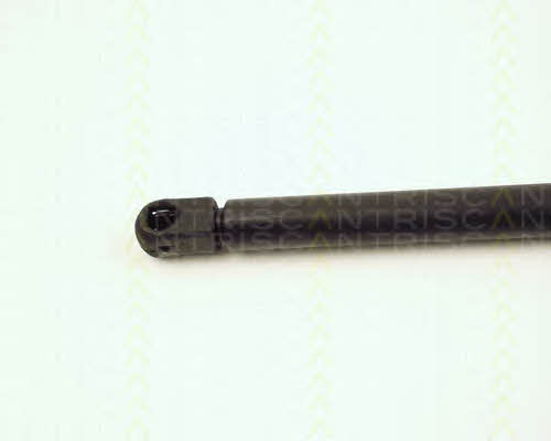 Gas Spring, boot-&#x2F;cargo area Triscan 8710 16203