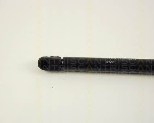Gas Spring, boot-&#x2F;cargo area Triscan 8710 16209