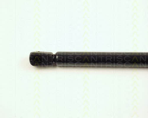 Gas Spring, boot-&#x2F;cargo area Triscan 8710 16233