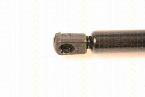 Gas Spring, boot-&#x2F;cargo area Triscan 8710 16237