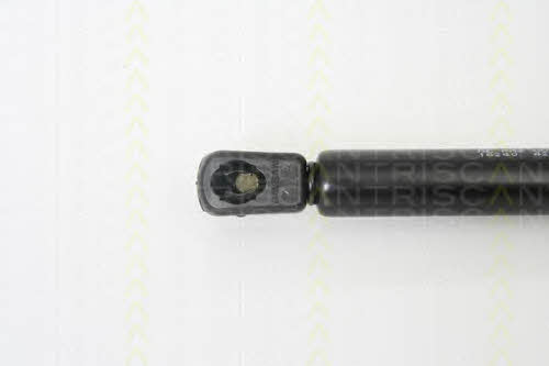Gas Spring, boot-&#x2F;cargo area Triscan 8710 16240
