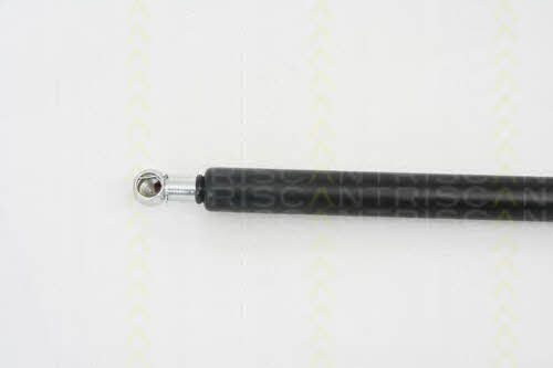 Gas Spring, boot-&#x2F;cargo area Triscan 8710 16242