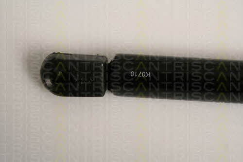 Gas Spring, boot-&#x2F;cargo area Triscan 8710 16254