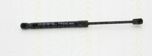 Buy Triscan 8710 29134 at a low price in United Arab Emirates!