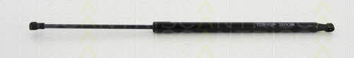 Buy Triscan 8710292019 – good price at EXIST.AE!