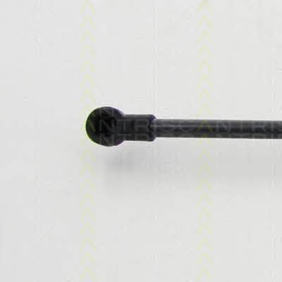 Tailgate strut Triscan 8710 292019