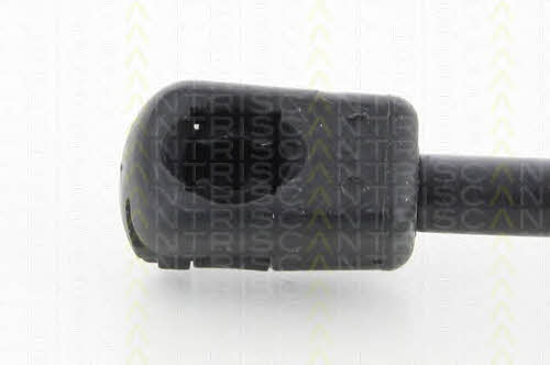 Gas Spring, boot-&#x2F;cargo area Triscan 8710 292100