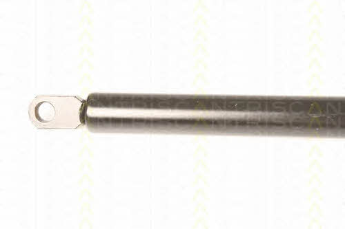 Gas Spring, boot-&#x2F;cargo area Triscan 8710 29216