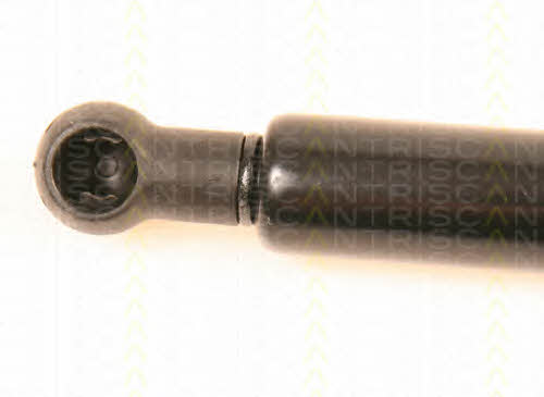 Gas Spring, boot-&#x2F;cargo area Triscan 8710 29249