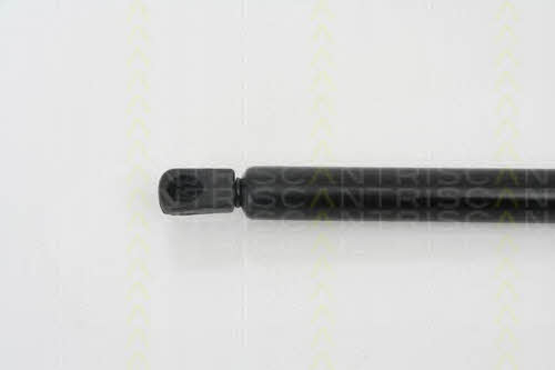 Gas Spring, boot-&#x2F;cargo area Triscan 8710 29254