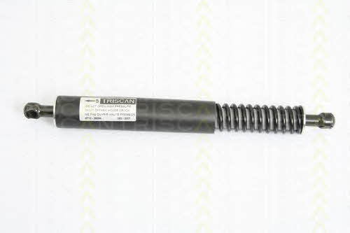 Tailgate strut Triscan 8710 29264