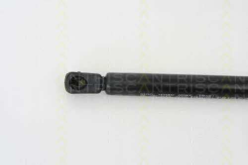 Gas Spring, boot-&#x2F;cargo area Triscan 8710 29265