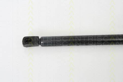 Gas Spring, boot-&#x2F;cargo area Triscan 8710 29272