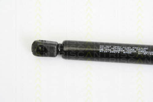 Gas Spring, boot-&#x2F;cargo area Triscan 8710 29273