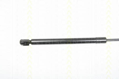Gas Spring, boot-&#x2F;cargo area Triscan 8710 29281