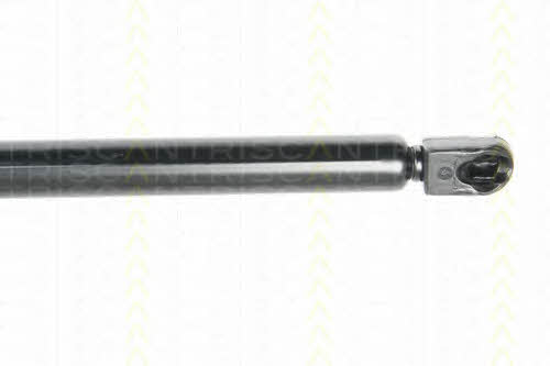 Gas Spring, boot-&#x2F;cargo area Triscan 8710 29283