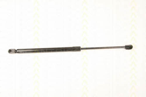 Tailgate strut Triscan 8710 29287