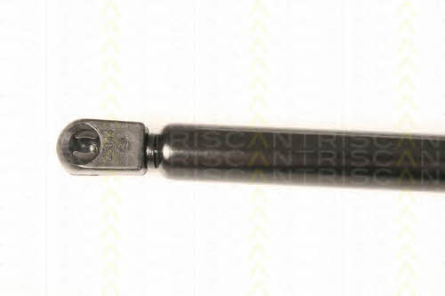 Gas Spring, boot-&#x2F;cargo area Triscan 8710 29290