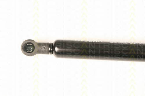 Gas Spring, boot-&#x2F;cargo area Triscan 8710 29292
