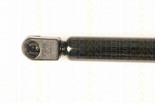 Gas Spring, boot-&#x2F;cargo area Triscan 8710 29293